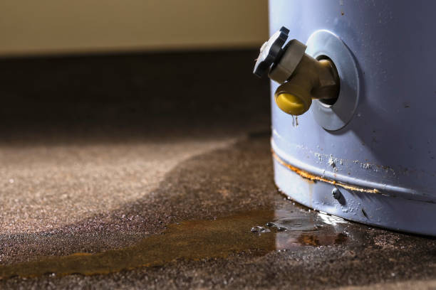 Best 24/7 water damage repair  in South Taft, CA