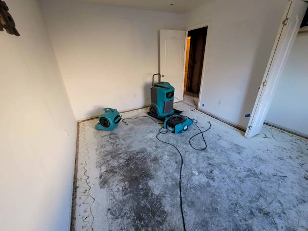 Best Ceiling water damage repair  in South Taft, CA