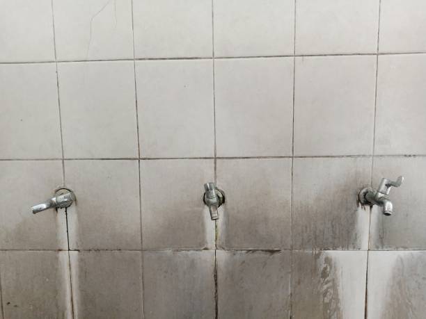 Best Mold removal after water damage  in South Taft, CA